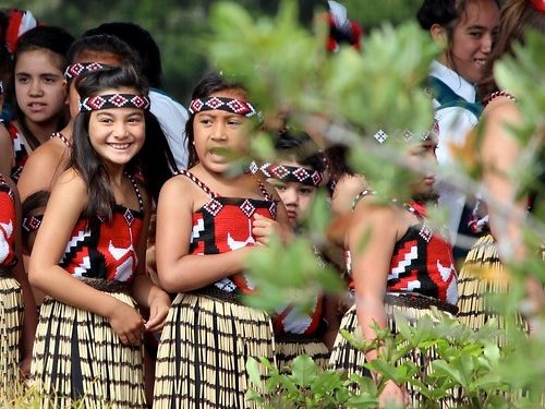 Ways to Honour Waitangi 2020