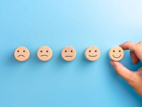 Home and community support services experience survey 2024
